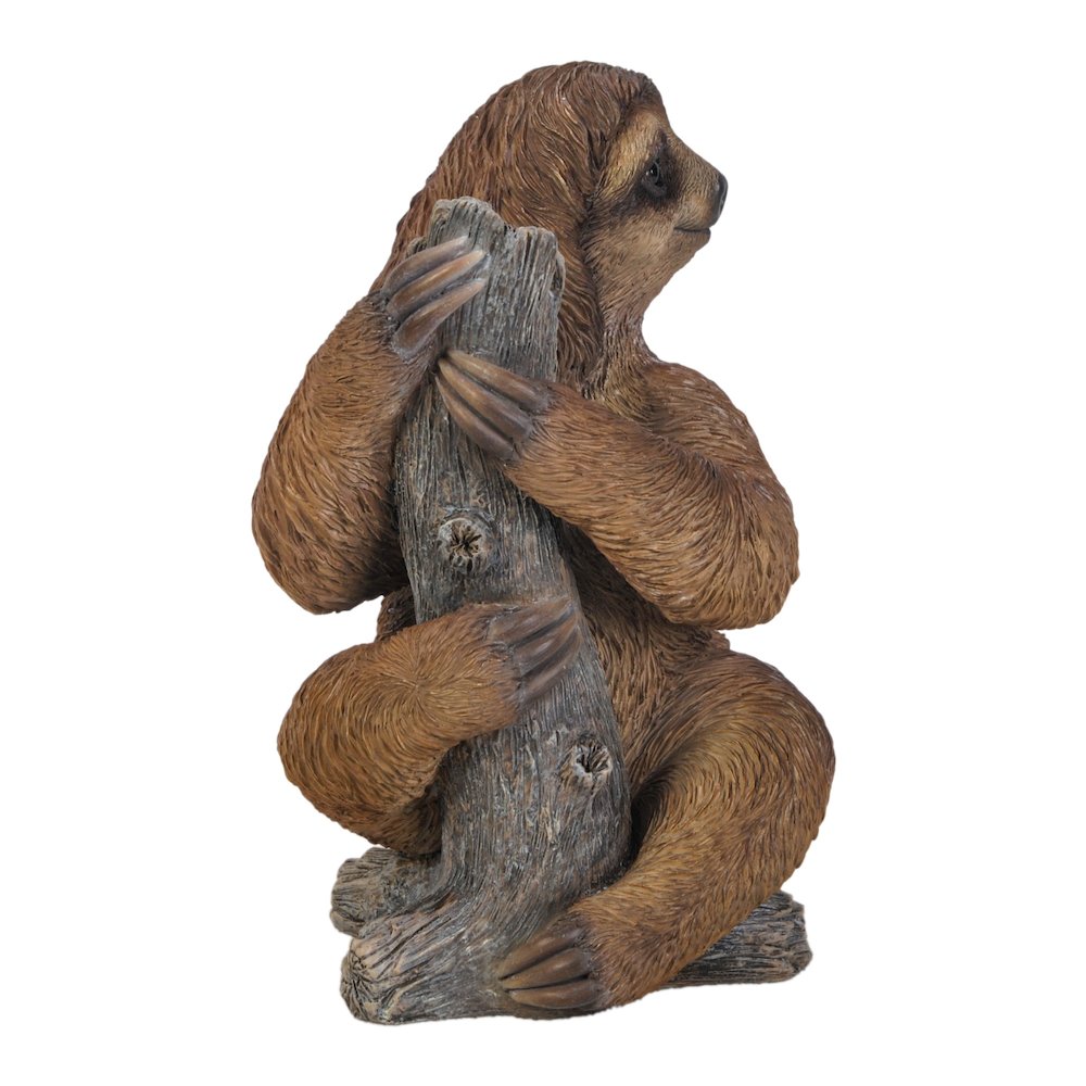 Pet Sloth. Picture 4
