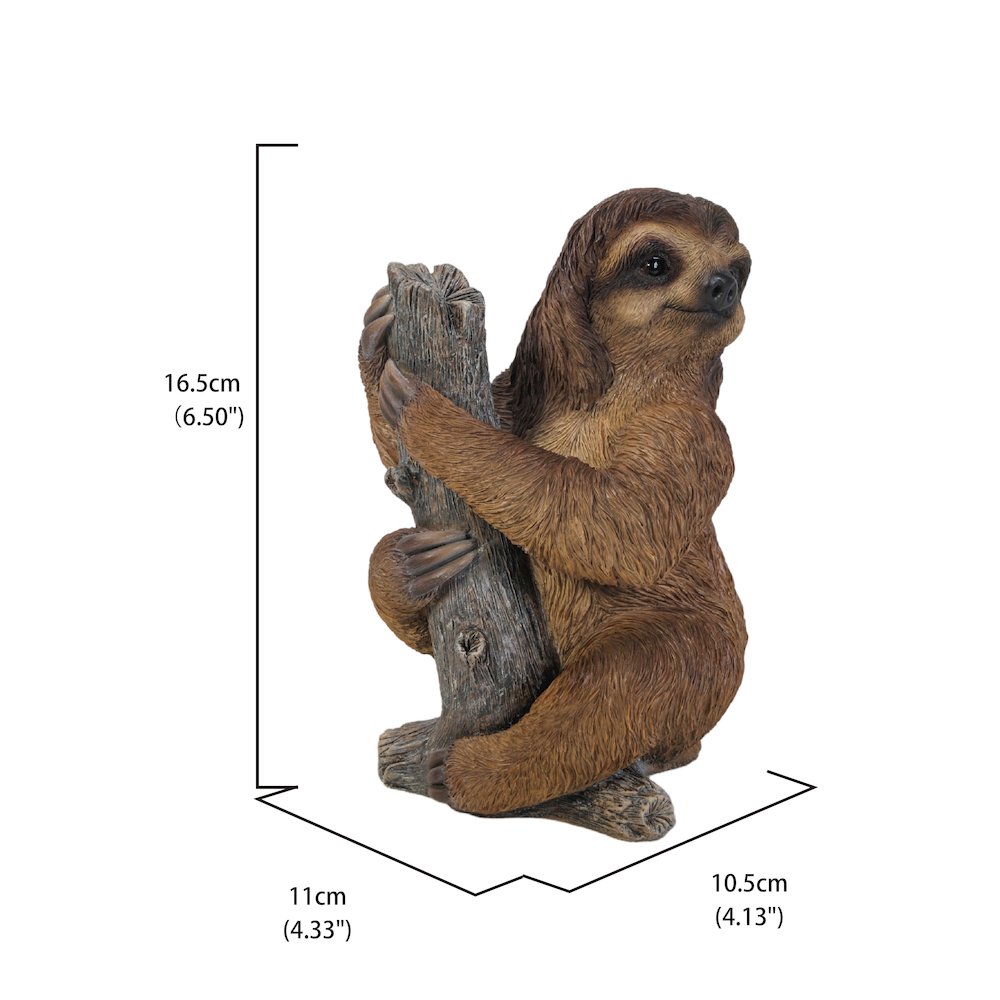 Pet Sloth. Picture 5