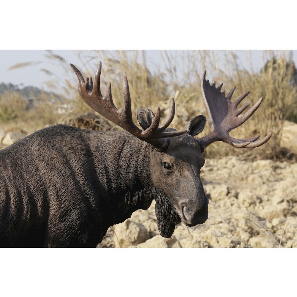 Standing Moose Statue. Picture 6