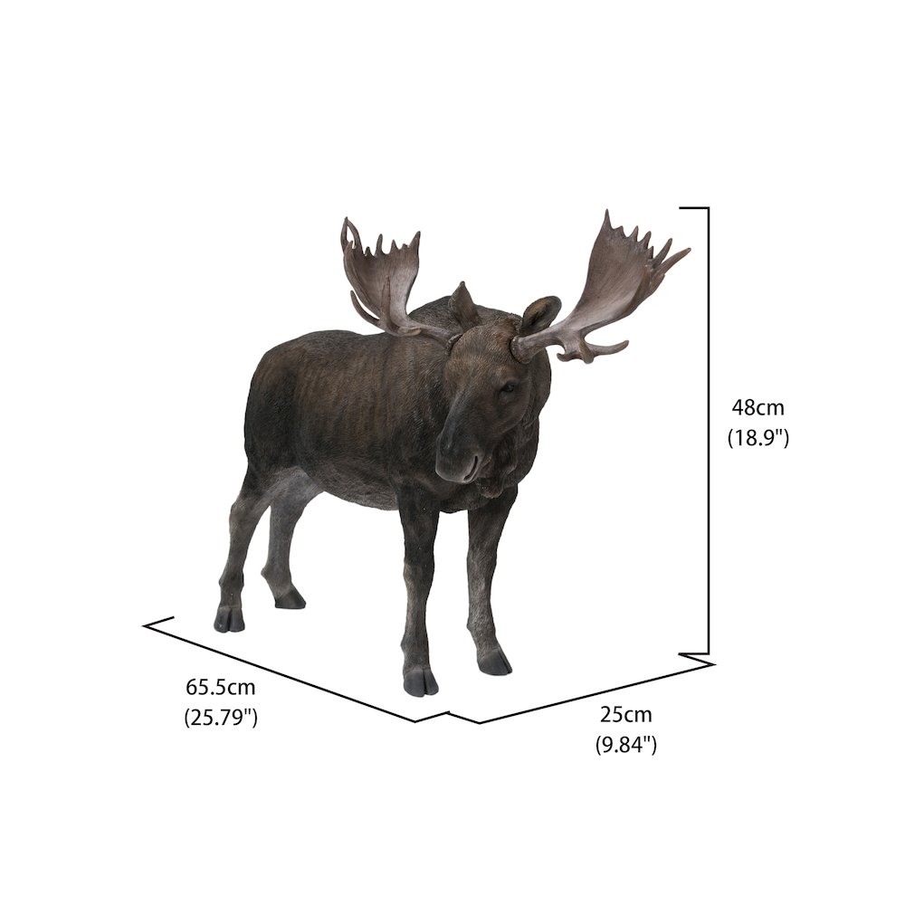 Standing Moose Statue. Picture 3