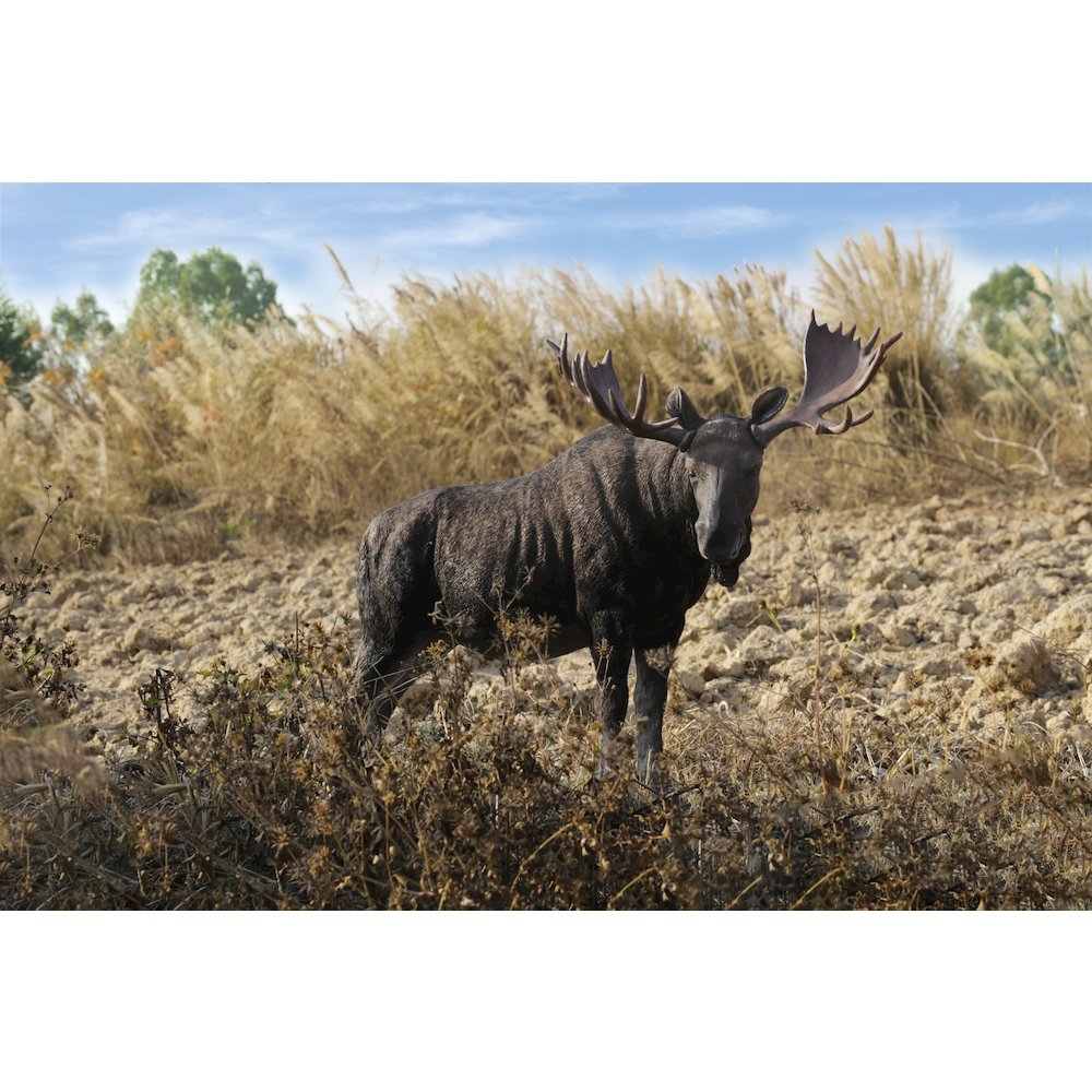 Standing Moose Statue. Picture 7