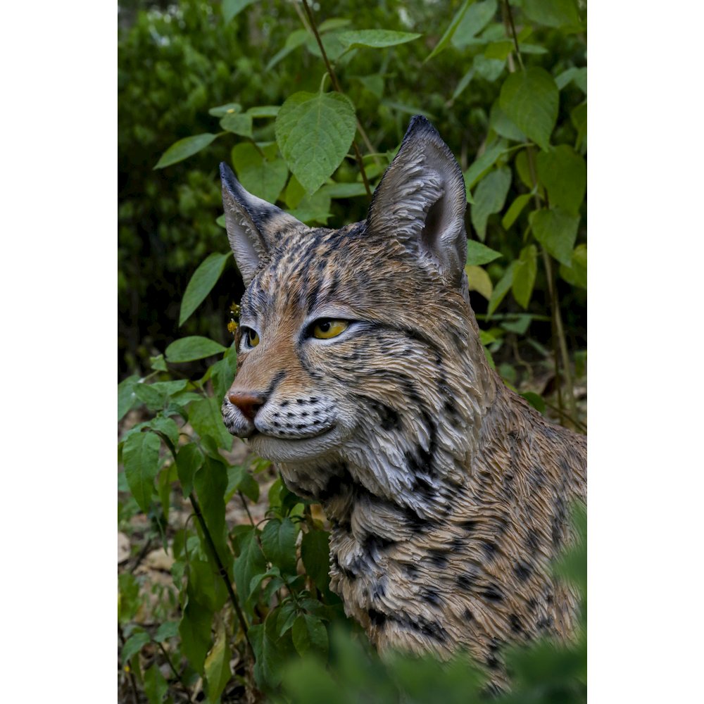 Sitting Bobcat Statue. Picture 6