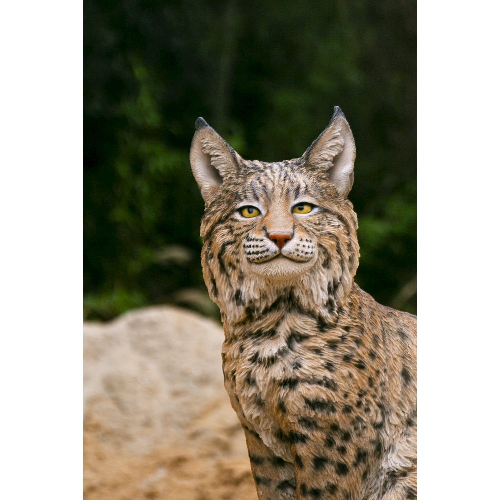 Sitting Bobcat Statue. Picture 5