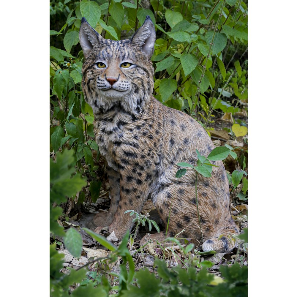 Sitting Bobcat Statue. Picture 7