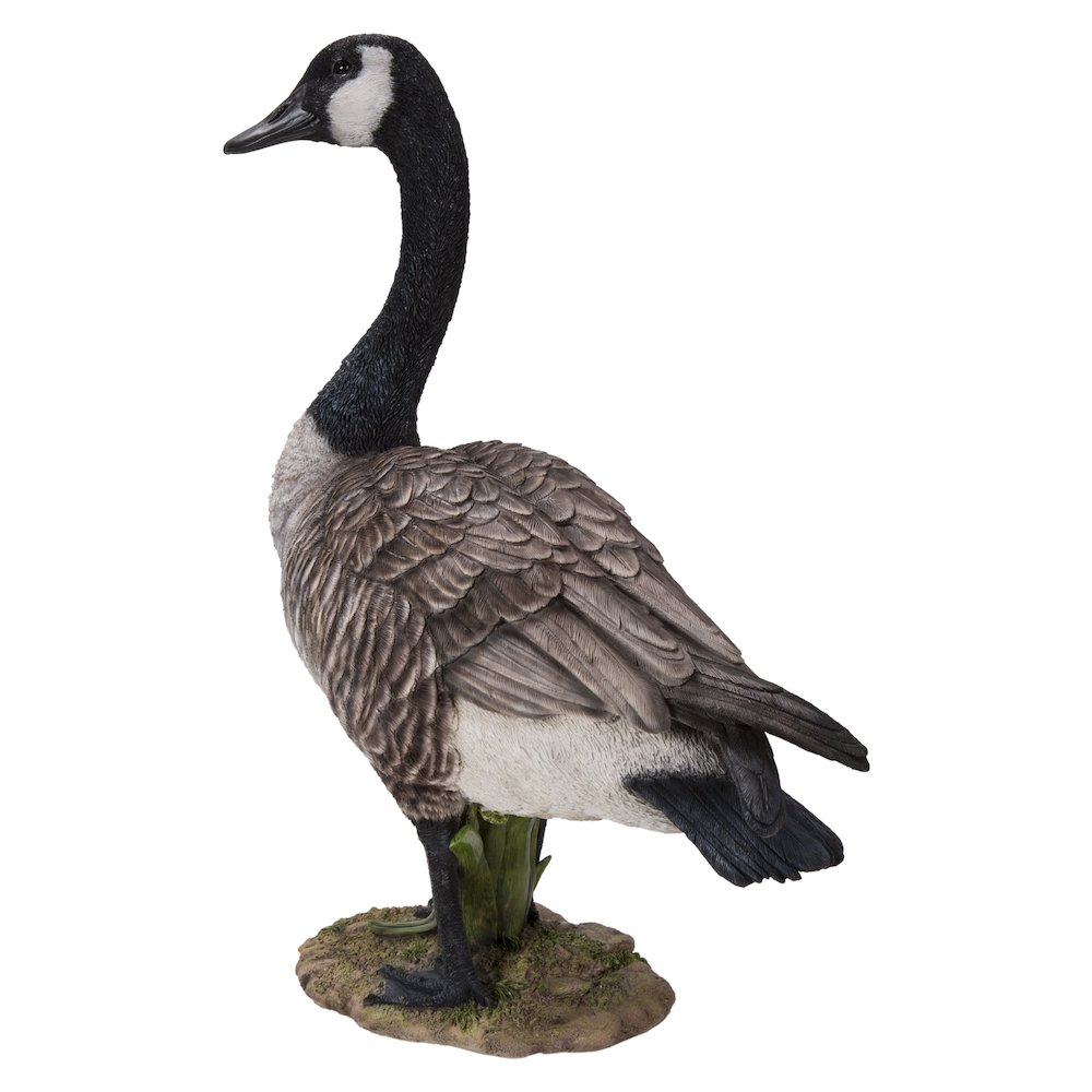 Standing Canada Goose Statue. Picture 1
