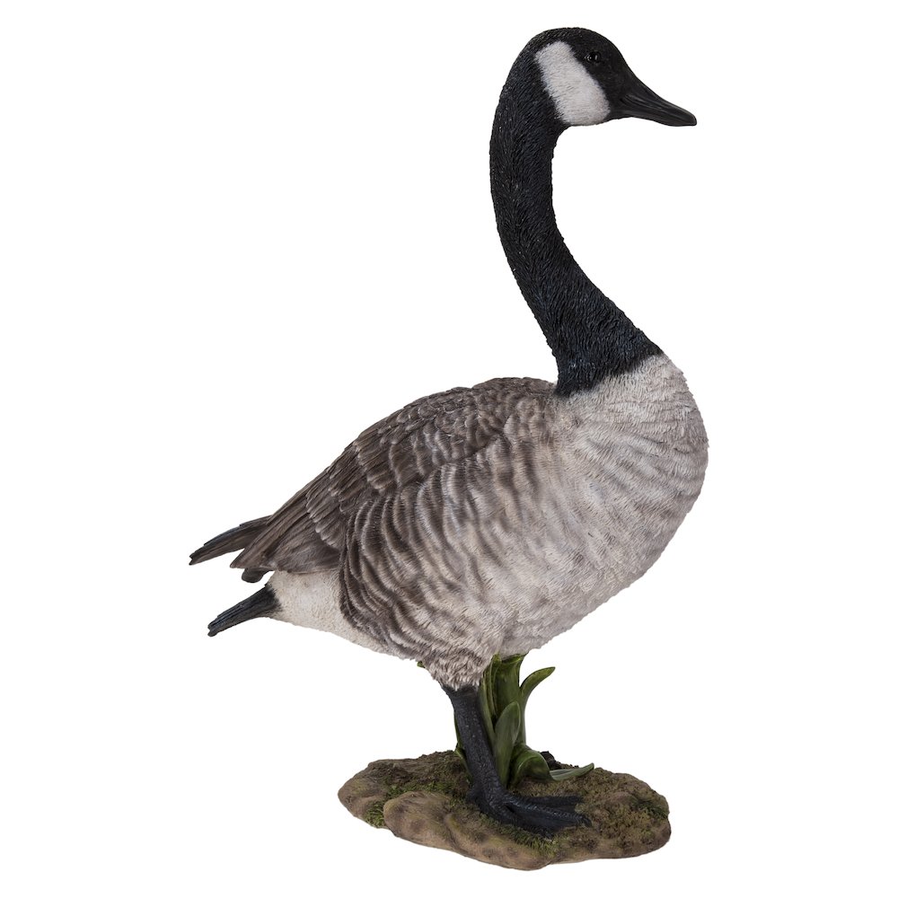 Standing Canada Goose Statue. Picture 4