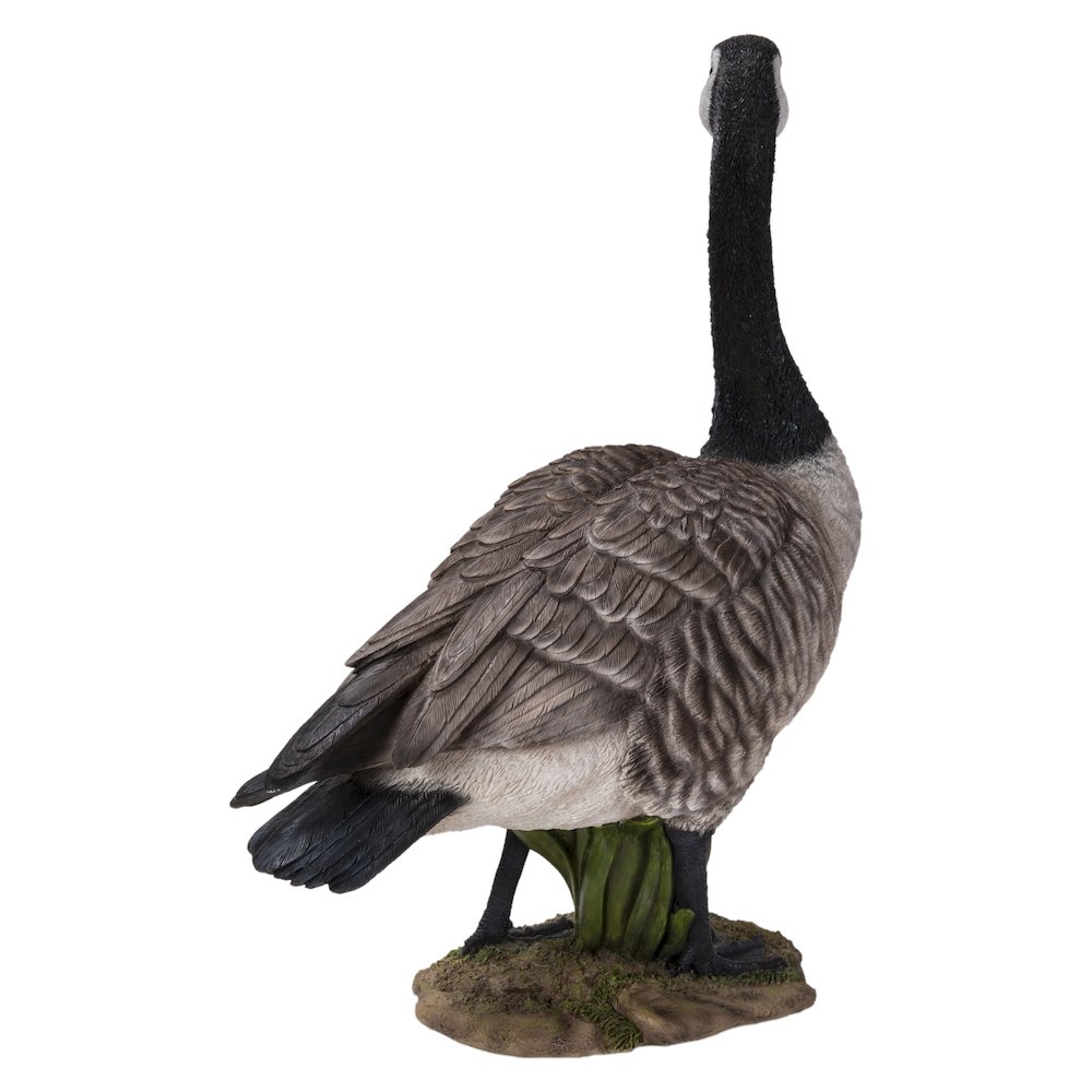 Standing Canada Goose Statue. Picture 5