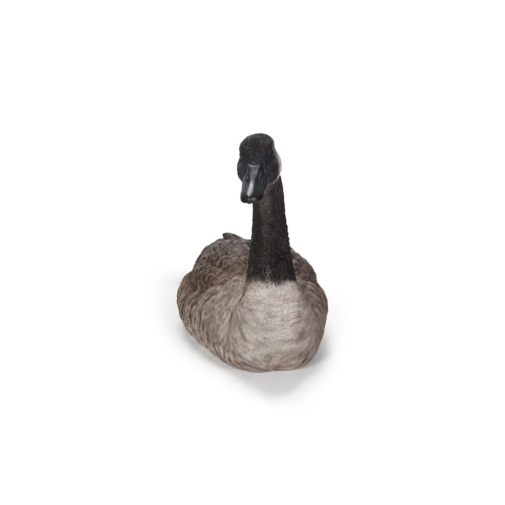 Sitting Canadian Goose Garden Statue. Picture 2