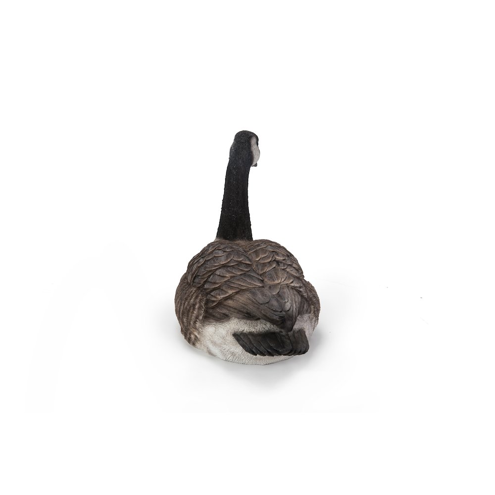 Sitting Canadian Goose Garden Statue. Picture 3