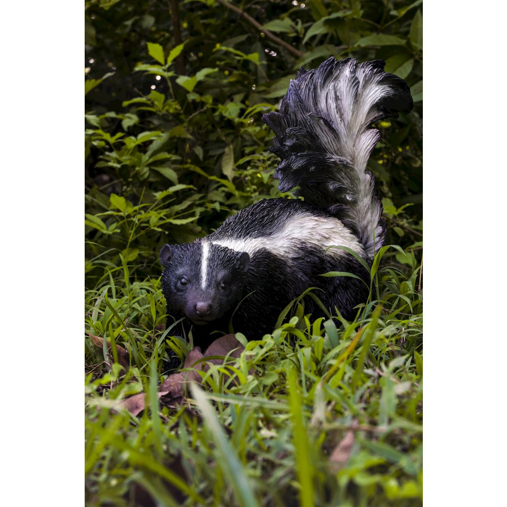 Walking Skunk Statue. Picture 7