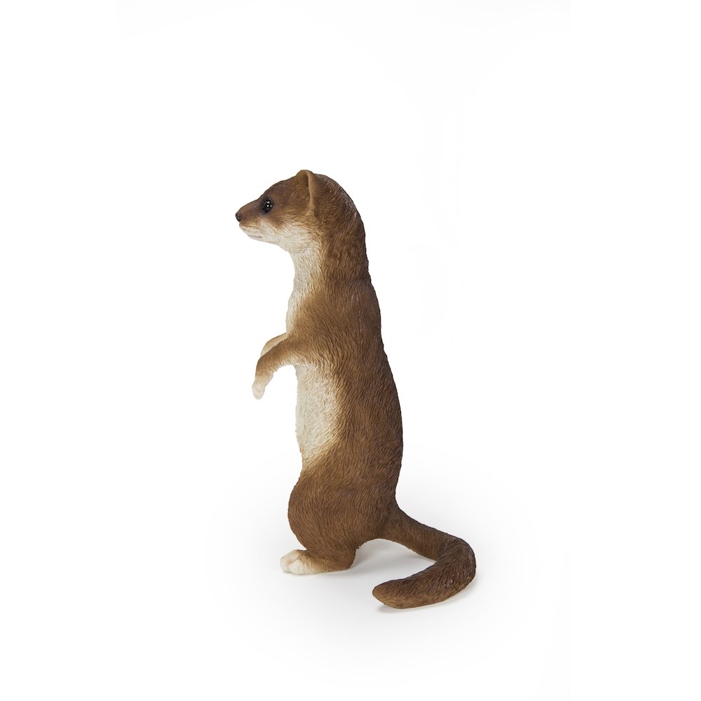 Standing Least Weasel Statue. Picture 3