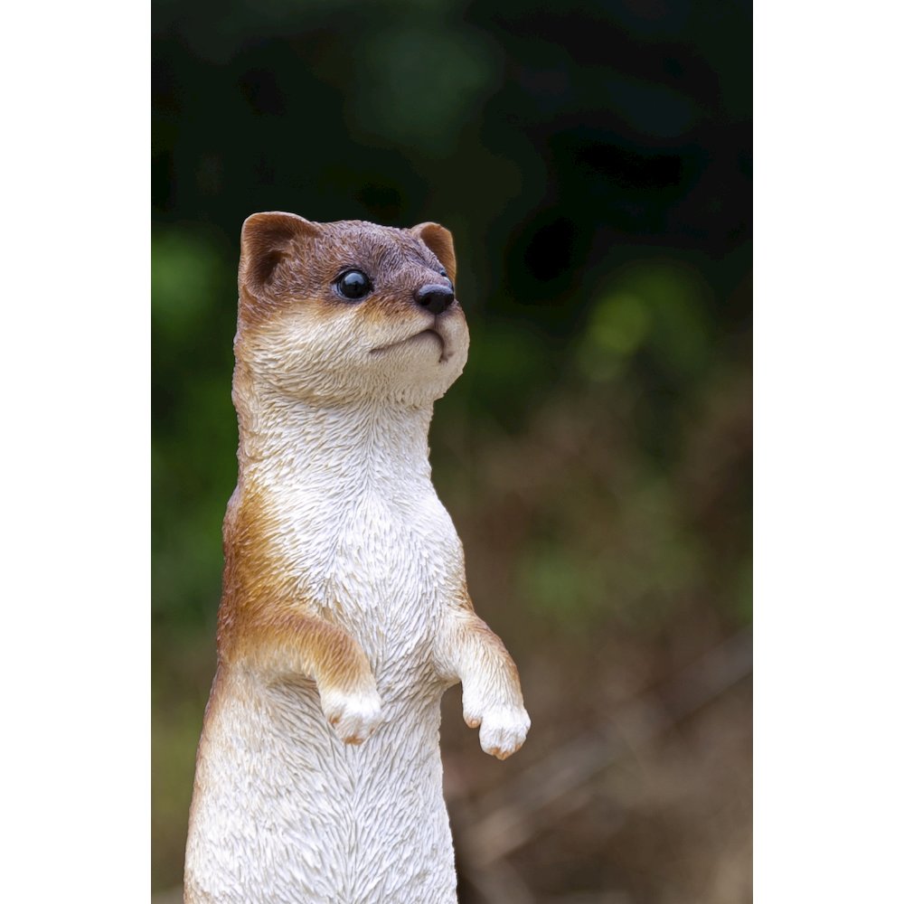 Standing Least Weasel Statue. Picture 7