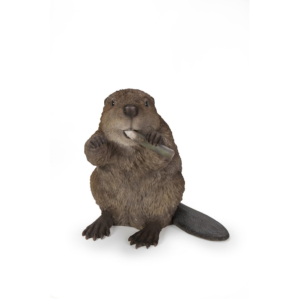 American Beaver Statue. Picture 2