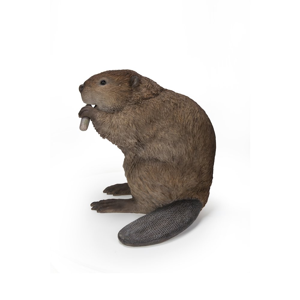 American Beaver Statue. Picture 4