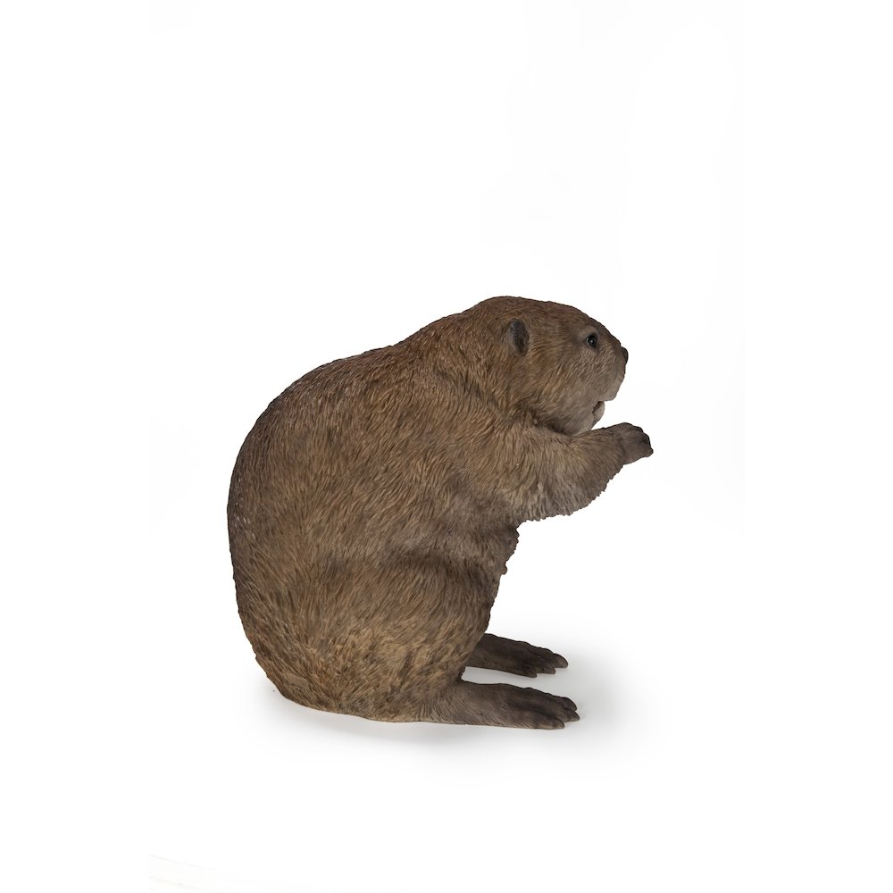American Beaver Statue. Picture 3