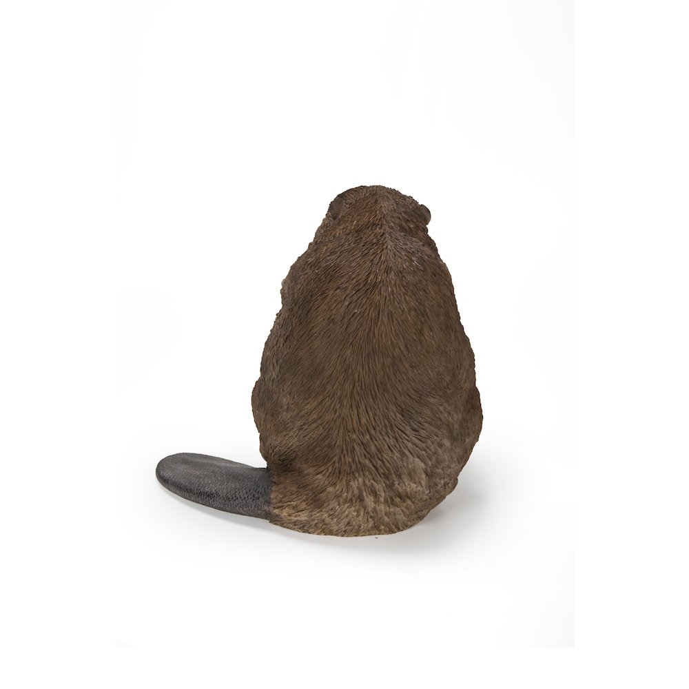 American Beaver Statue. Picture 1