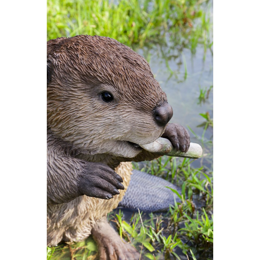 American Beaver Statue. Picture 7