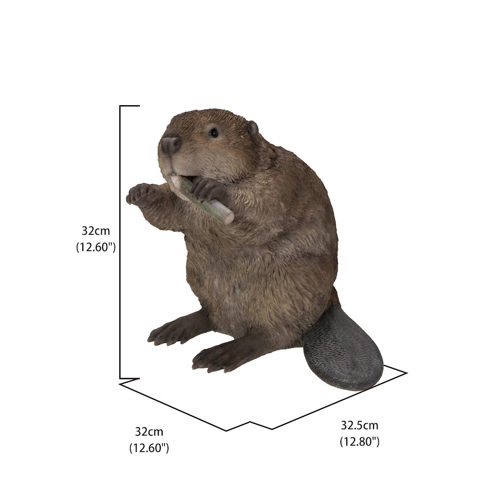American Beaver Statue. Picture 5