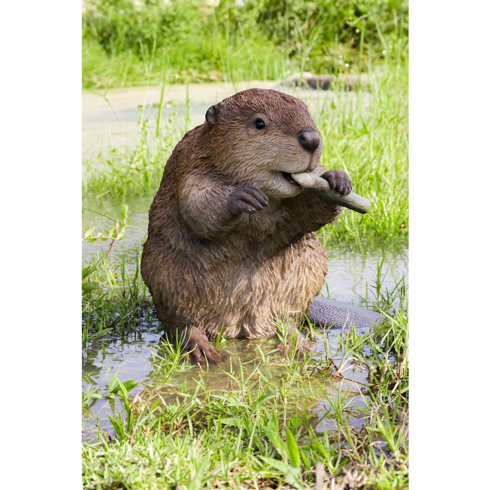 American Beaver Statue. Picture 6