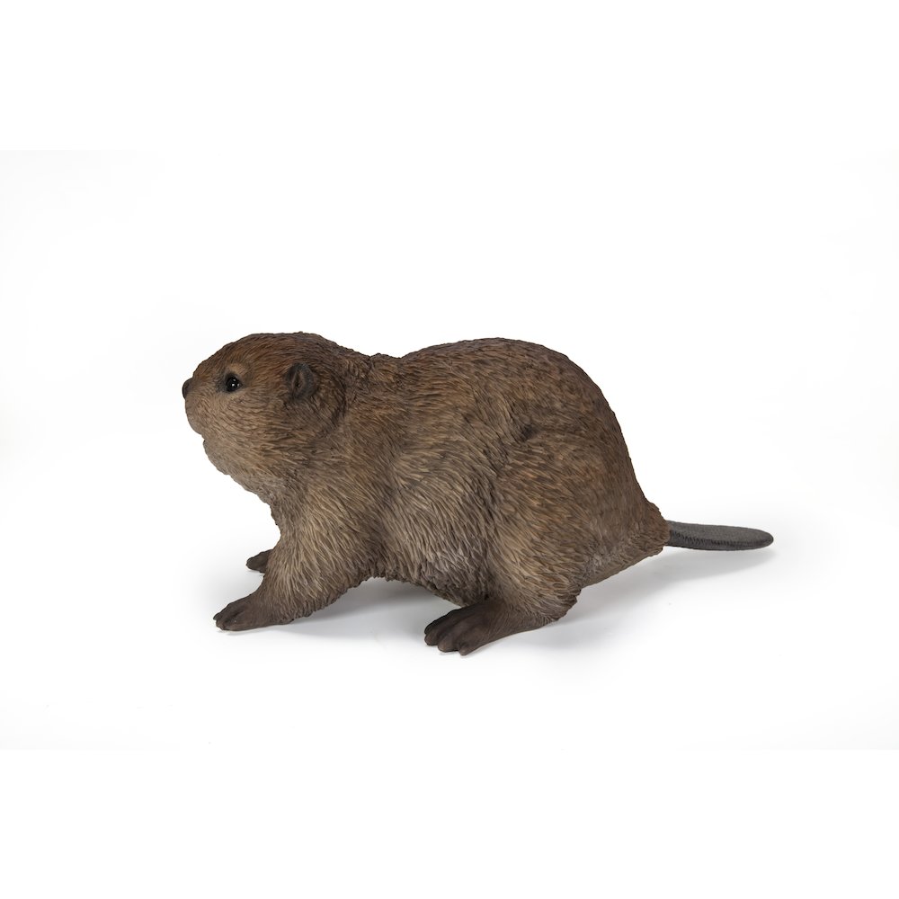 American Beaver Cub Statue. Picture 3