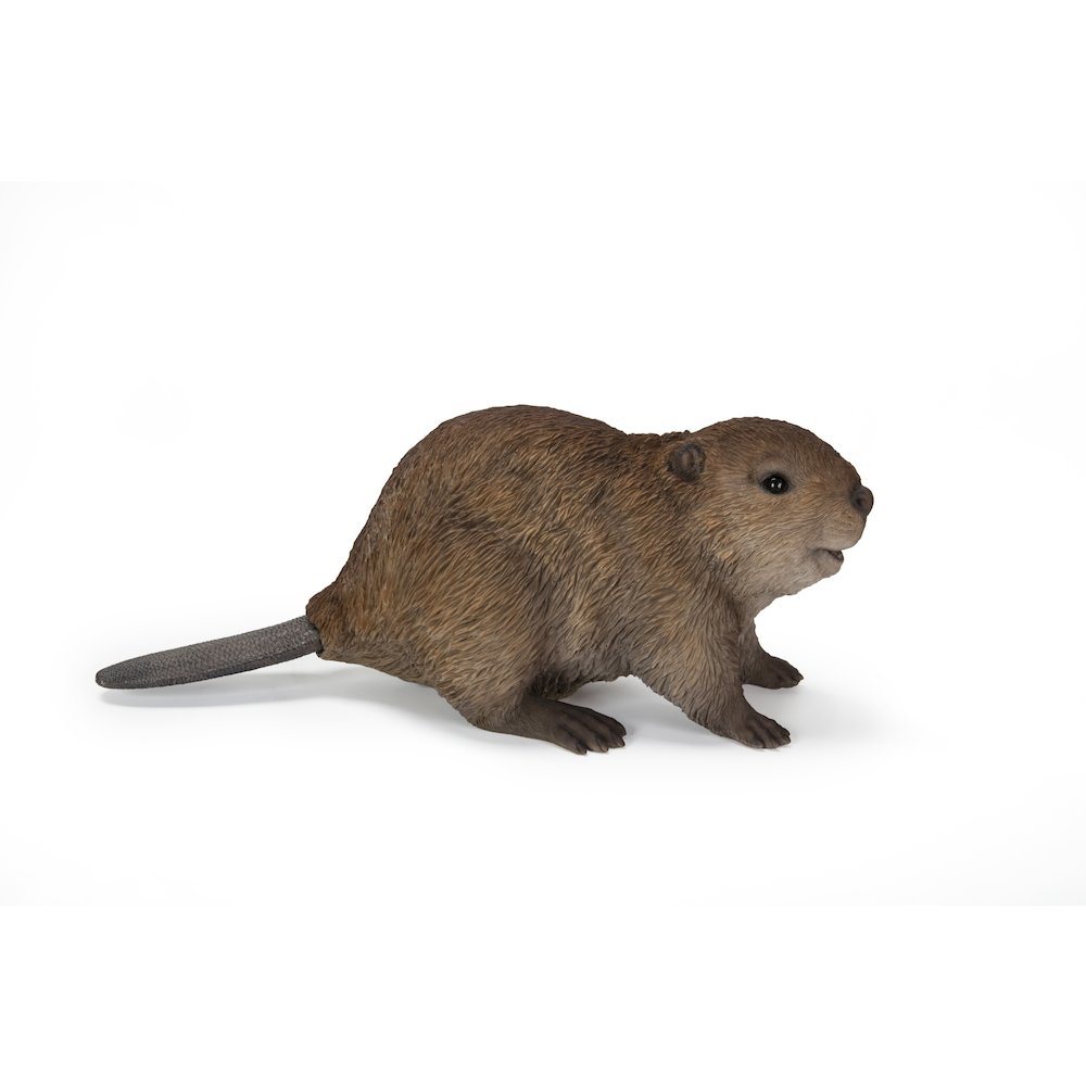 American Beaver Cub Statue. Picture 1