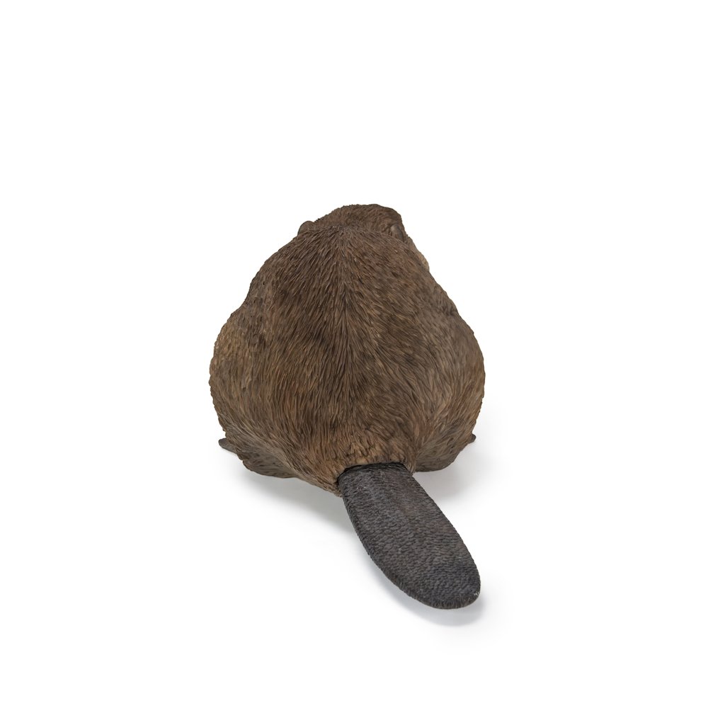 American Beaver Cub Statue. Picture 4