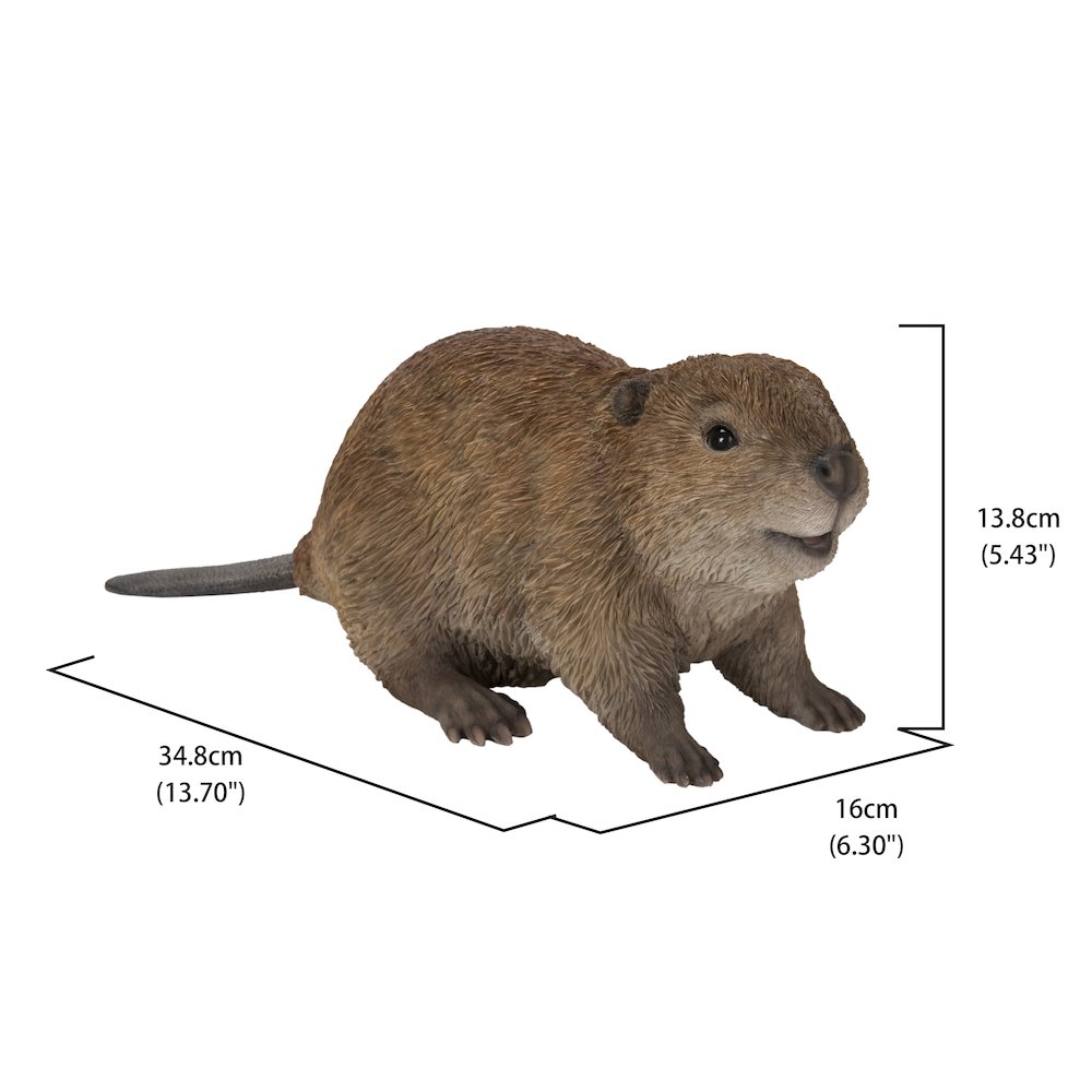 American Beaver Cub Statue. Picture 5