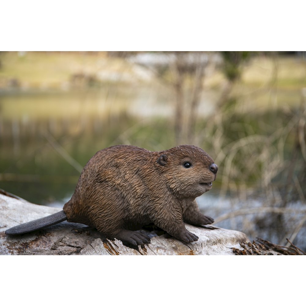 American Beaver Cub Statue. Picture 6