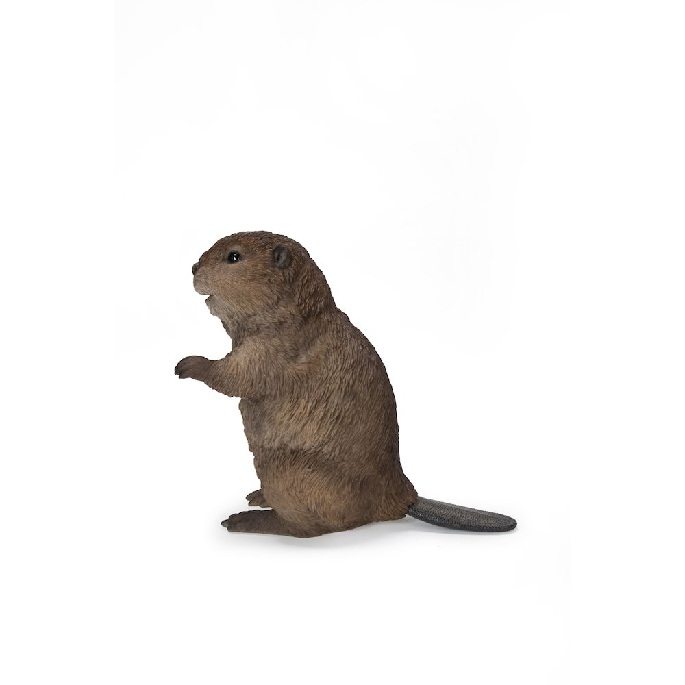 American Beaver Cub Standing Statue. Picture 1