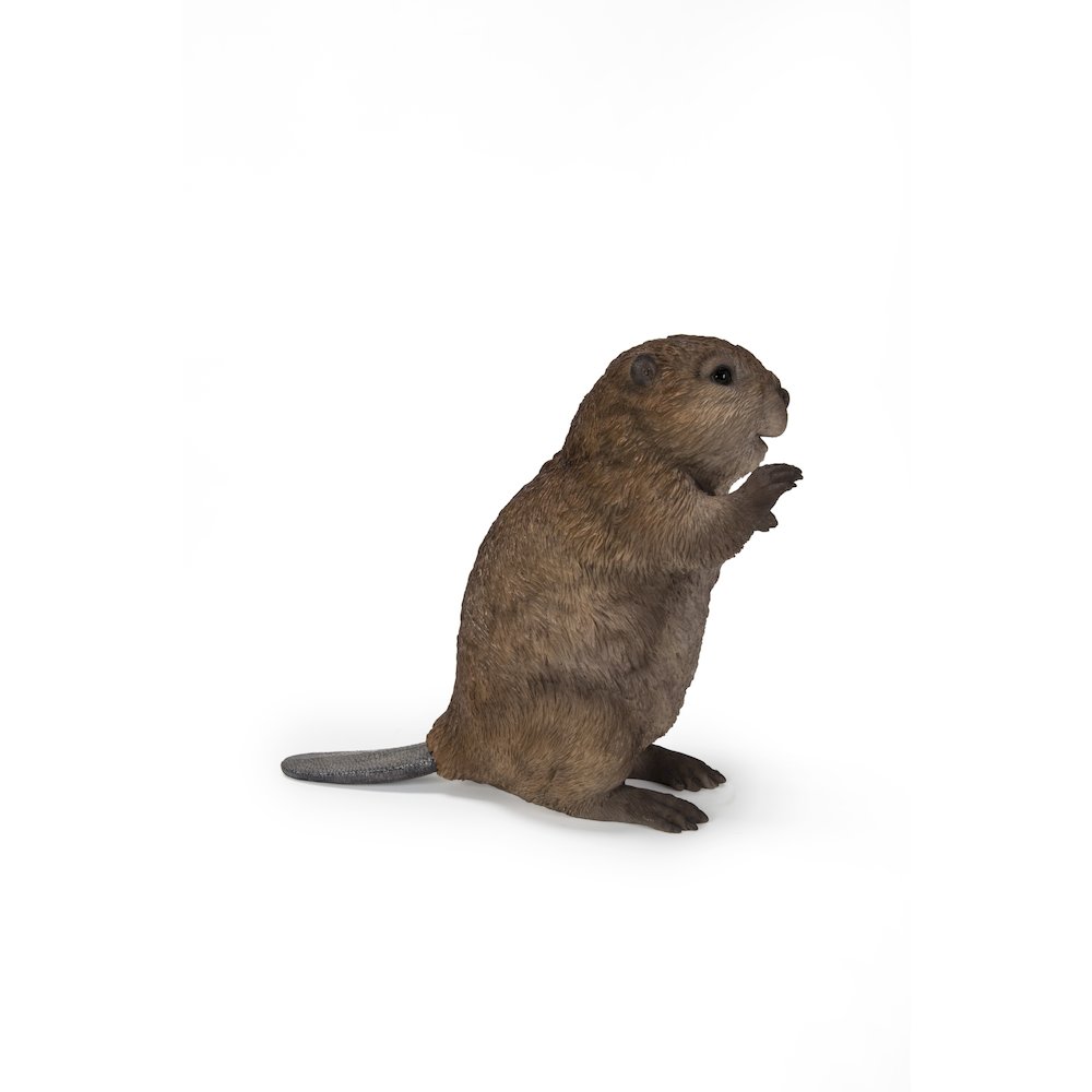 American Beaver Cub Standing Statue. Picture 4