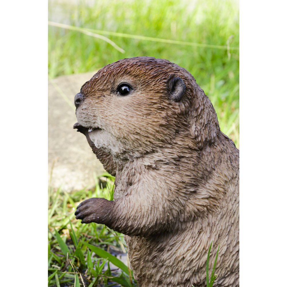 American Beaver Cub Standing Statue. Picture 6