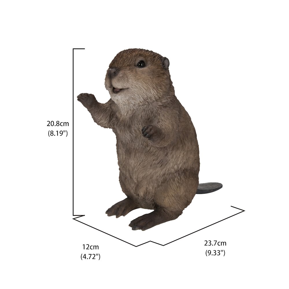 American Beaver Cub Standing Statue. Picture 5