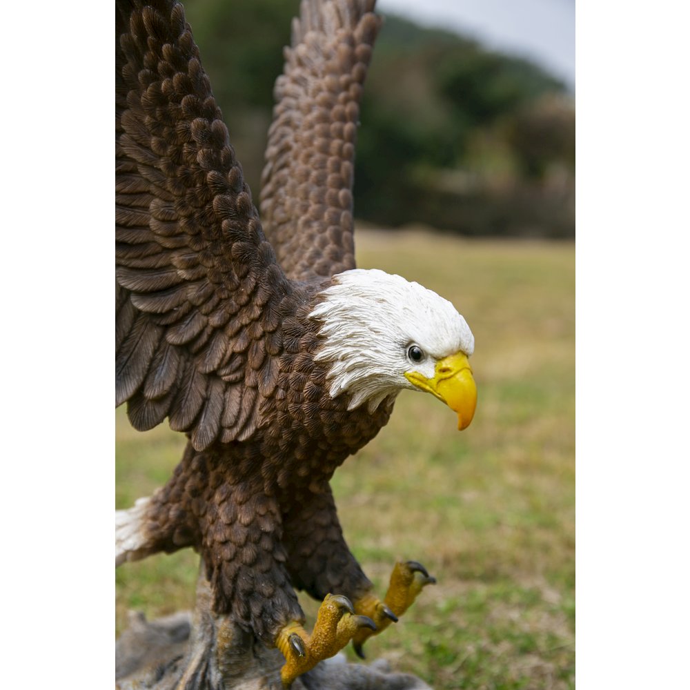 Small Flying Eagle Statue. Picture 7