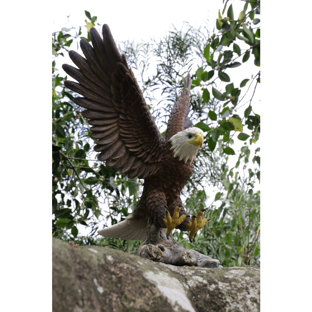 Small Flying Eagle Statue. Picture 6