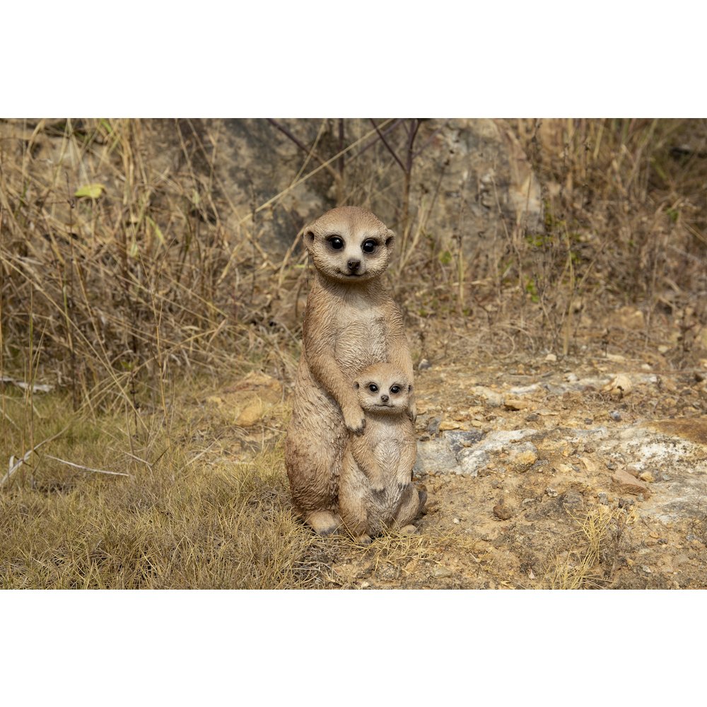 Small Mother & Baby Meerkat. Picture 7