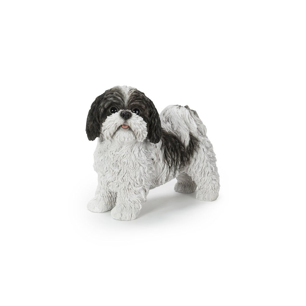 Black & White Standing Shih Tzu. Picture 2