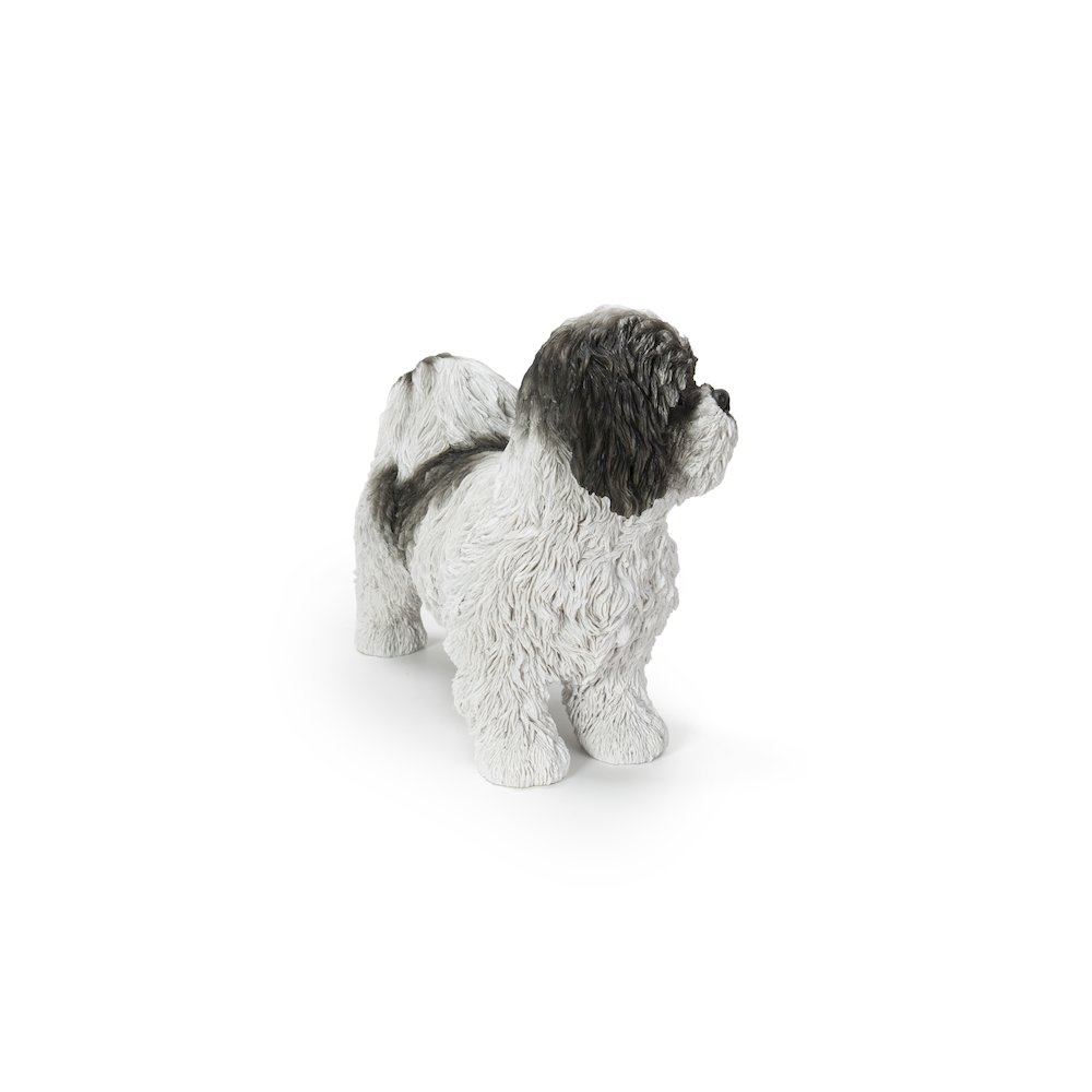 Black & White Standing Shih Tzu. Picture 4