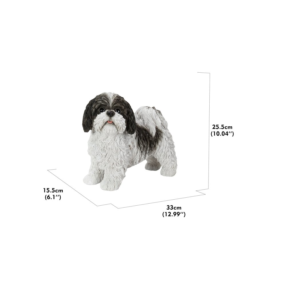 Black & White Standing Shih Tzu. Picture 1