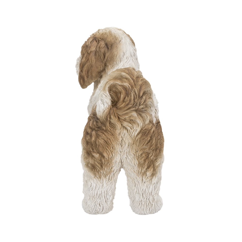 Brown & White Standing Shih Tzu. Picture 4