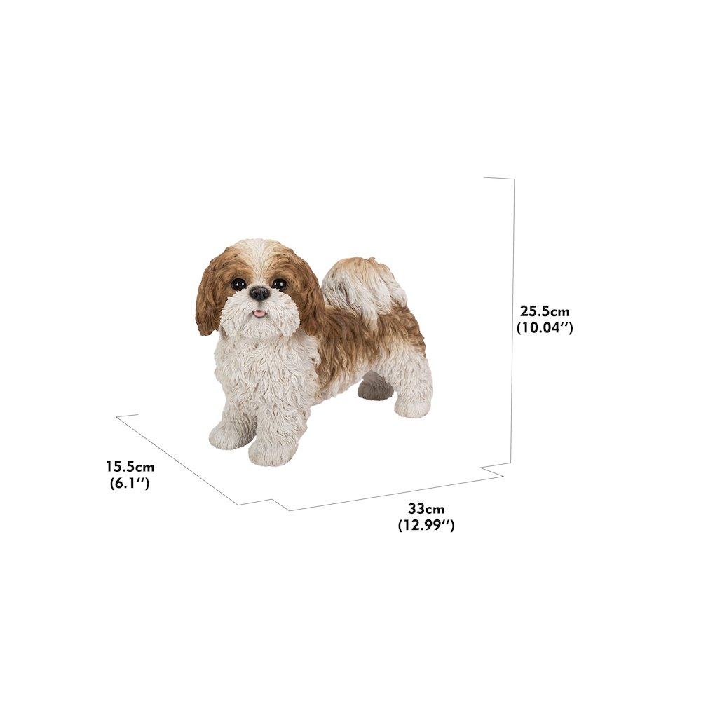 Brown & White Standing Shih Tzu. Picture 5