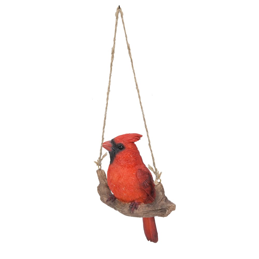 Hanging Cardinal On A Branch. Picture 8