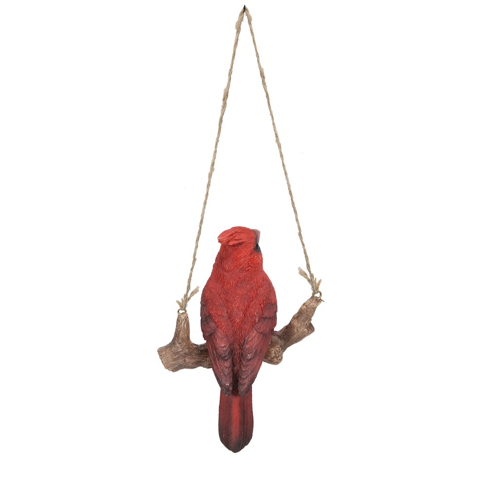 Hanging Cardinal On A Branch. Picture 7