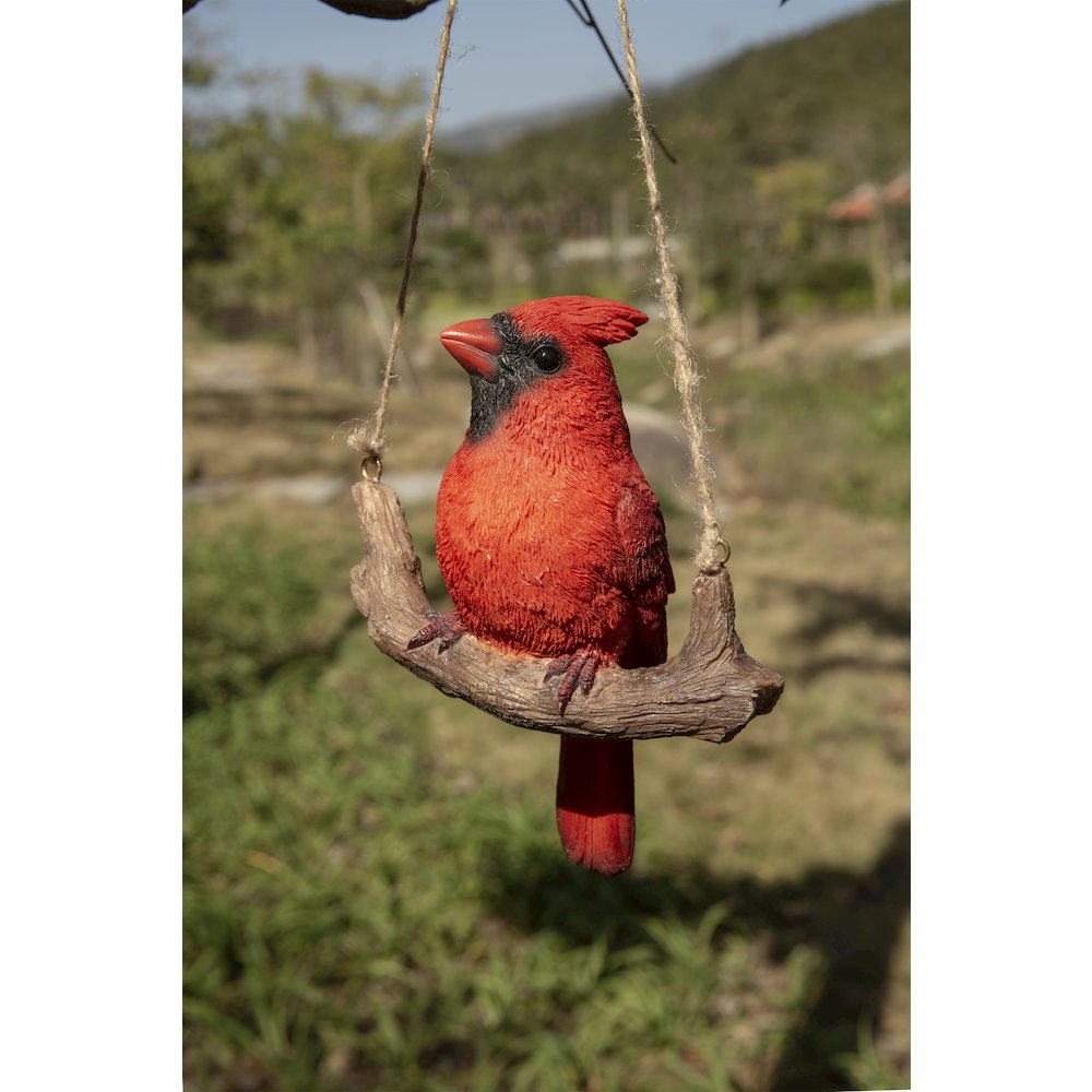 Hanging Cardinal On A Branch. Picture 5