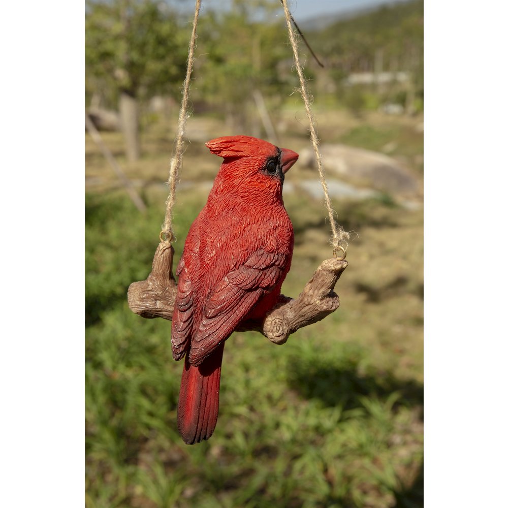 Hanging Cardinal On A Branch. Picture 2