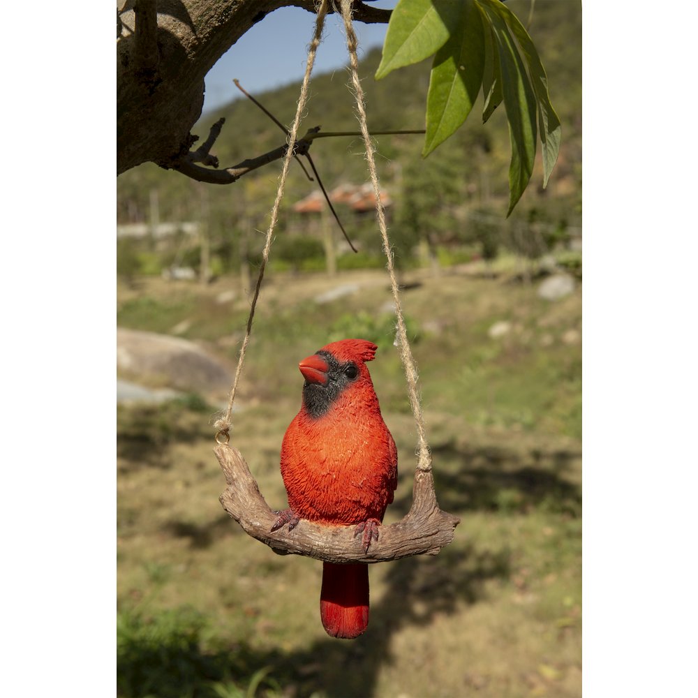 Hanging Cardinal On A Branch. Picture 3