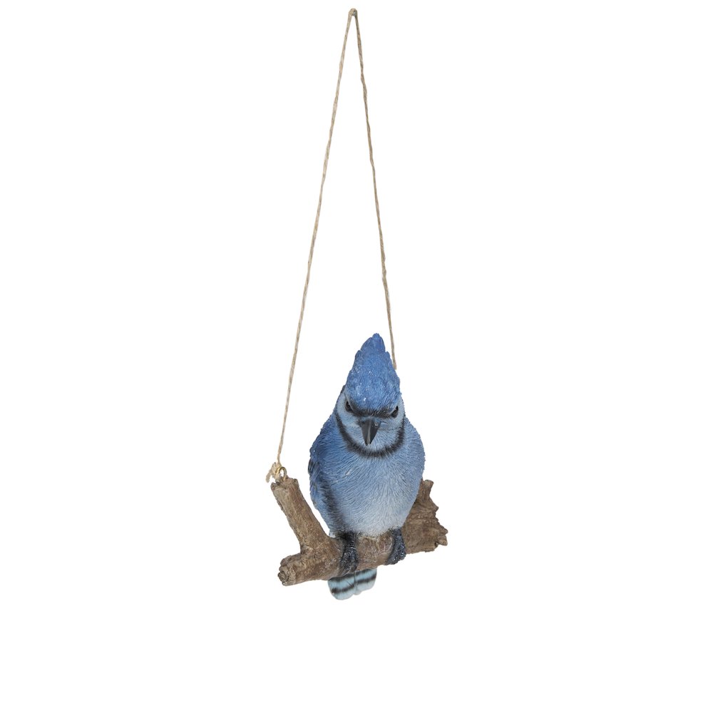 Hanging Blue Jay On A Branch. Picture 2