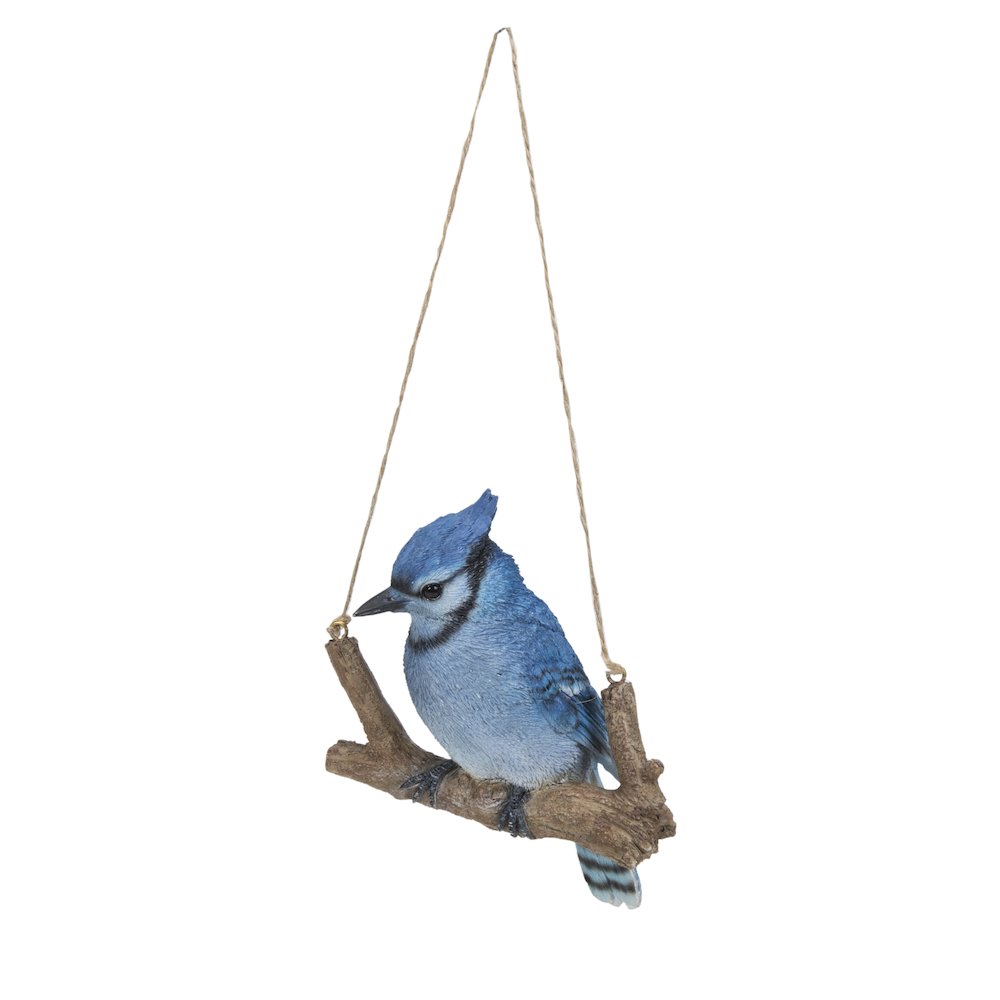Hanging Blue Jay On A Branch. Picture 1