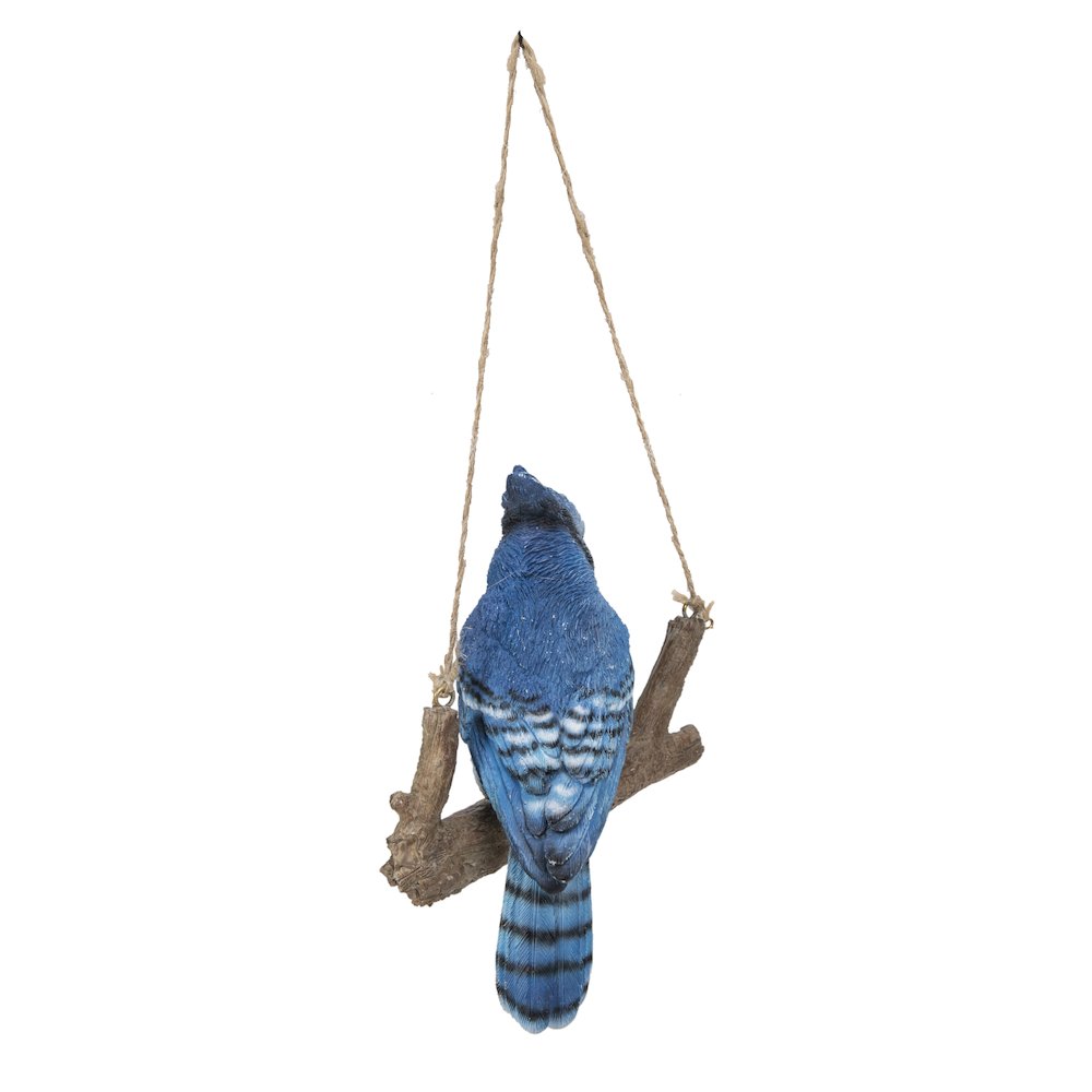 Hanging Blue Jay On A Branch. Picture 7