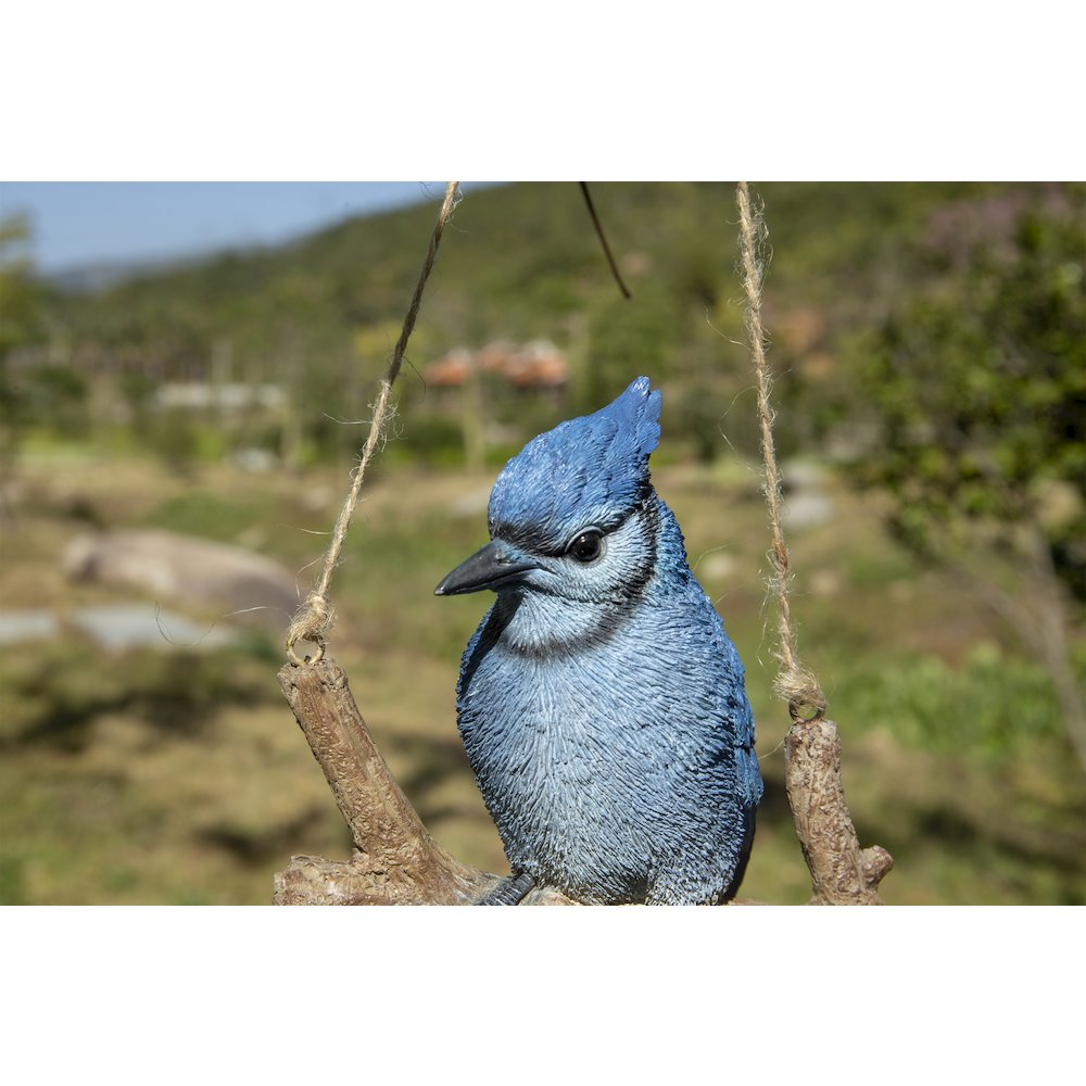 Hanging Blue Jay On A Branch. Picture 6