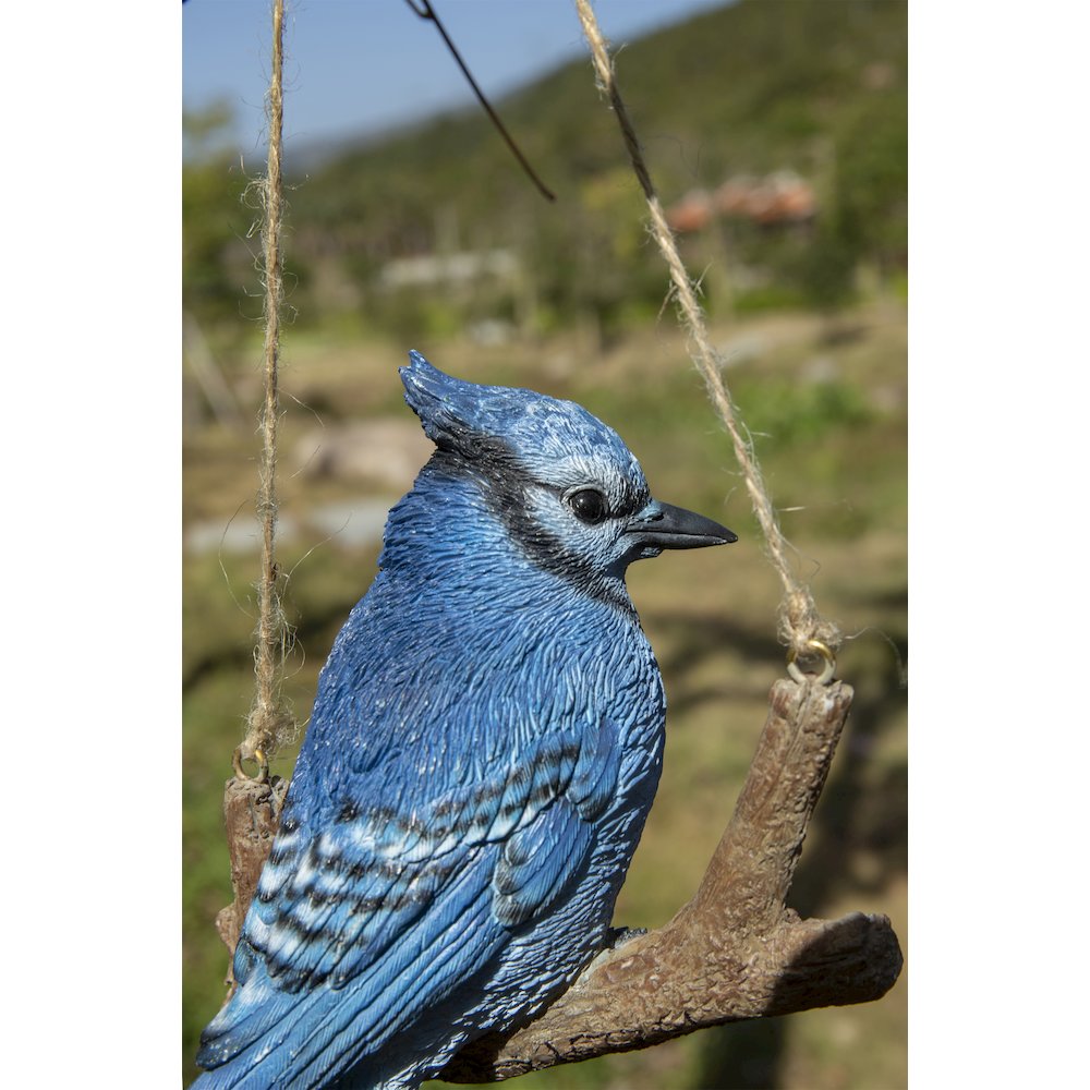 Hanging Blue Jay On A Branch. Picture 4